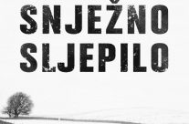 2. Snježno sljepilo