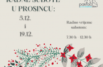 Radne subote – prosinac 2020.