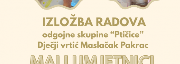 Izložba radova odgojne skupine “Ptičice” DV Maslačak – “Mali umjetnici”